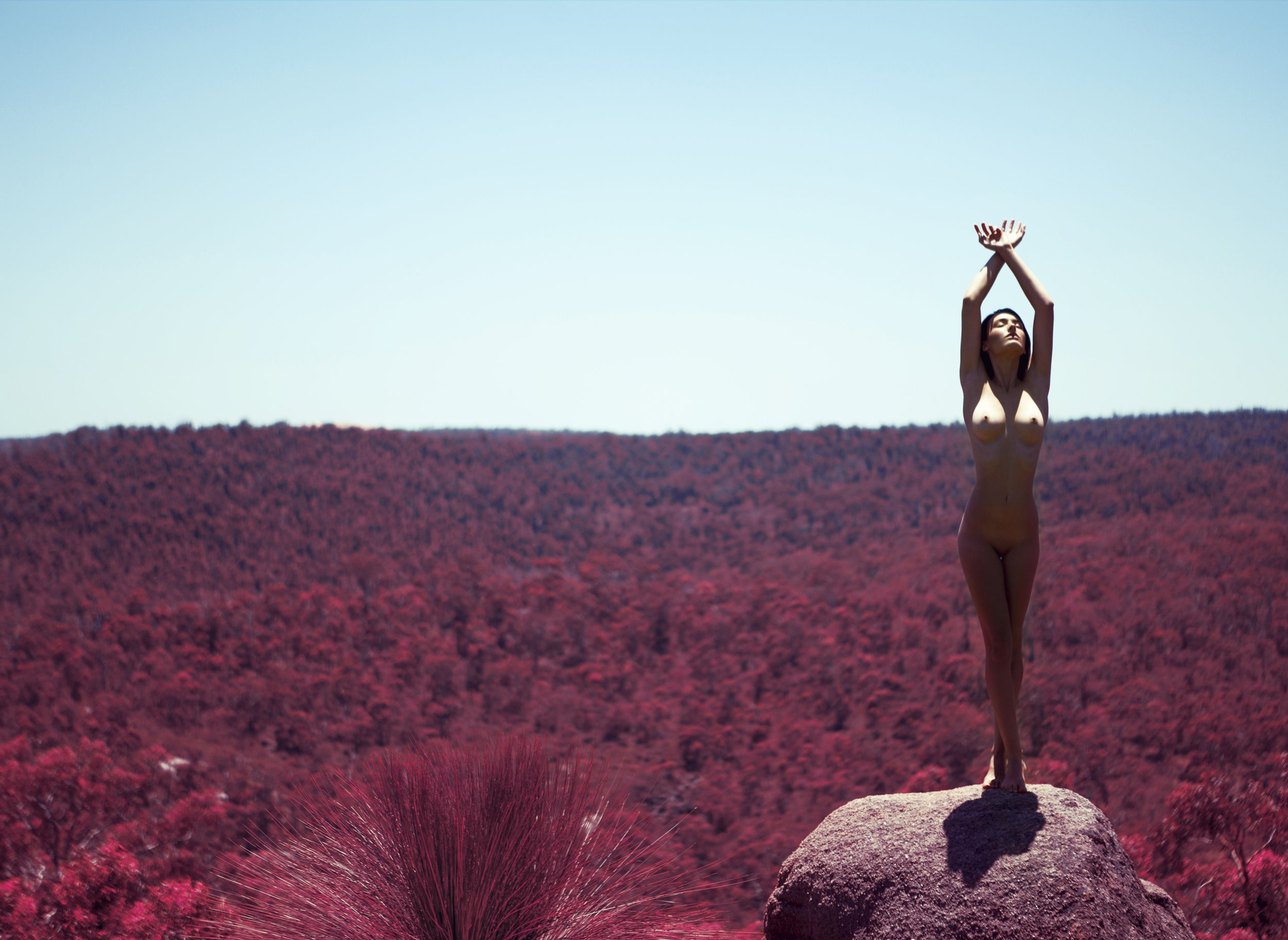© Aaron McPolin