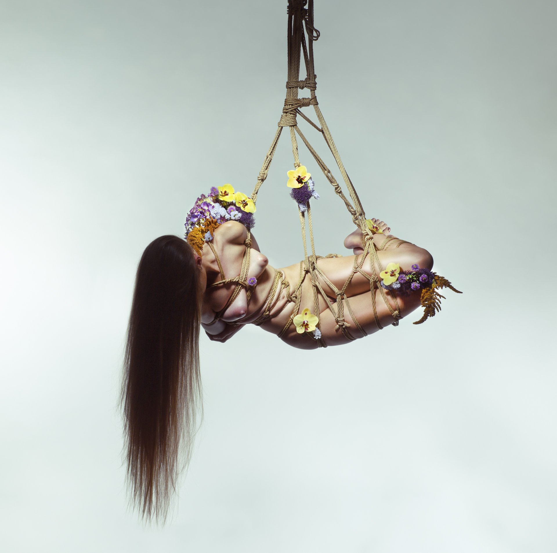 © Aaron McPolin